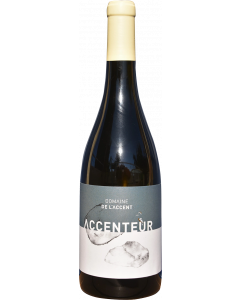 Accenteur 2023