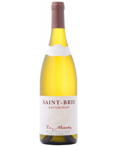 Sauvignon Saint Bris Des Malandes 2023