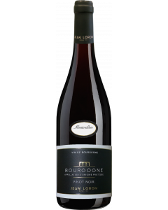 Bourgogne Rouge Jean Loron / Bourgogne / Frankrijk Rode Wijn / Wijnhandel MKWIJNEN
