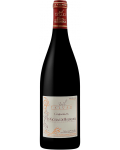 Saint Nicolas De Bourgueil Cuvée L'Expression 2023