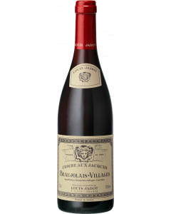 Beaujolais Villages Combe aux Jacques Louis Jadot / Beaujolais / Frankrijk Rode Wijn / Wijnhandel MKWIJNEN
