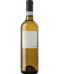 Viarivetti22 Langhe Bianco / Rivetti Massimo / Piemonte / Italiaanse Witte Wijn / Wijnhandel MKWIJNEN
