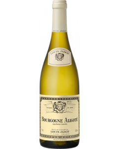 Bourgogne Aligoté / Louis Jadot / Bourgogne / Franse Witte Wijn / Wijnhandel MKWIJNEN

