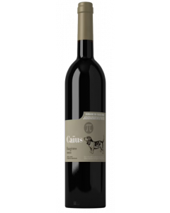 Caïus / Domaine Du Causse Noir / Languedoc-Roussillon / Franse Rode Wijn / Wijnhandel MKWIJNEN
