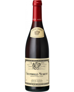 Chambolle-Musigny / Louis Jadot / Bourgogne / Franse Rode Wijn / Wijnhandel MKWIJNEN
