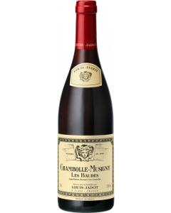 Chambolle-Musigny Les Baudes 1er Cru / Louis Jadot / Bourgogne / Franse Rode Wijn / Wijnhandel MKWIJNEN
