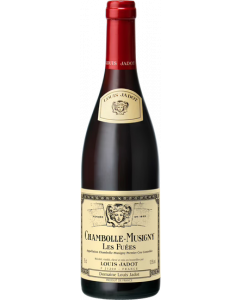 Chambolle-Musigny Les Fuées 1er Cru / Louis Jadot / Bourgogne / Franse Rode Wijn / Wijnhandel MKWIJNEN

