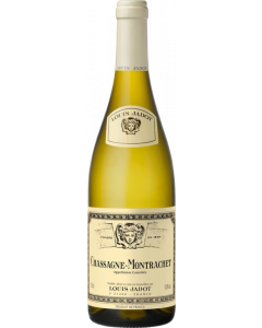 Chassagne-Montrachet Blanc / Louis Jadot / Bourgogne / Franse Witte Wijn / Wijnhandel MKWIJNEN
