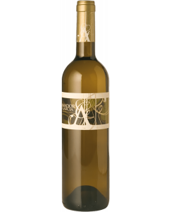 Amador Garcia Blanco Fermentado 2022