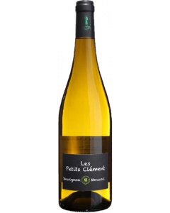 Les Petits Clément Blanc / Château Clément Termes / Sud Ouest / Franse Witte Wijn / Wijnhandel MKWIJNEN
