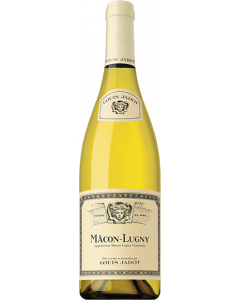 Mâcon-Lugny / Louis Jadot / Bourgogne / Franse Witte Wijn / Wijnhandel MKWIJNEN
