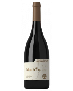 Mathias / Domaine Du Causse Noir / Languedoc-Roussillon / Franse Rode Wijn / Wijnhandel MKWIJNEN
