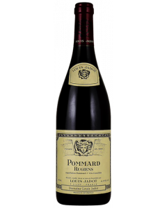 Pommard Rugiens 1er Cru / Louis Jadot / Bourgogne / Franse Rode Wijn / Wijnhandel MKWIJNEN
