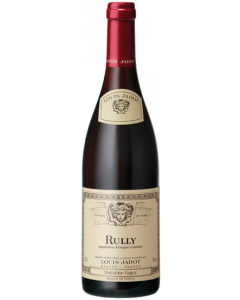 Rully / Louis Jadot / Bourgogne / Franse Rode Wijn / Wijnhandel MKWIJNEN
