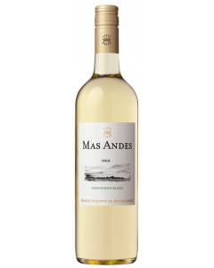 Sauvignon-Blanc / Mas Andes / Central Valley / Chileense Witte Wijn / Wijnhandel MKWIJNEN
